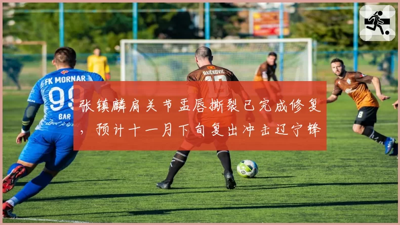 张镇麟肩关节盂唇撕裂已完成修复，预计十一月下旬复出冲击辽宁锋线