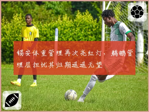 锡安体重管理再次亮红灯,鹈鹕管理层担忧其归期遥遥无望