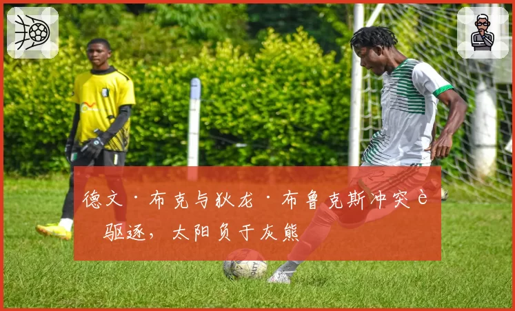 德文·布克与狄龙·布鲁克斯冲突被驱逐，太阳负于灰熊