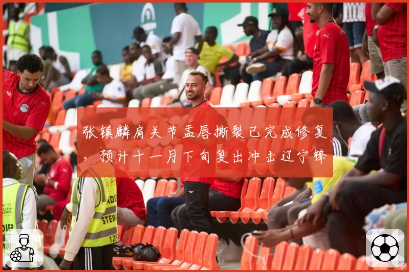 张镇麟肩关节盂唇撕裂已完成修复，预计十一月下旬复出冲击辽宁锋线