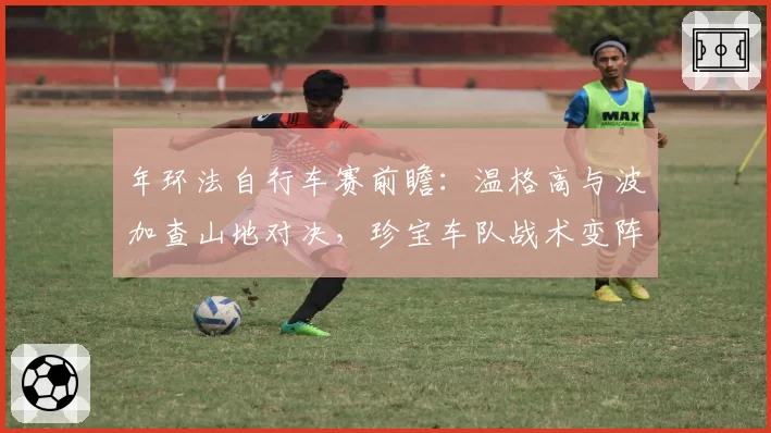 年环法自行车赛前瞻：温格高与波加查山地对决，珍宝车队战术变阵