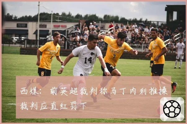 西媒：前英超裁判称马丁内利推搡裁判应直红罚下